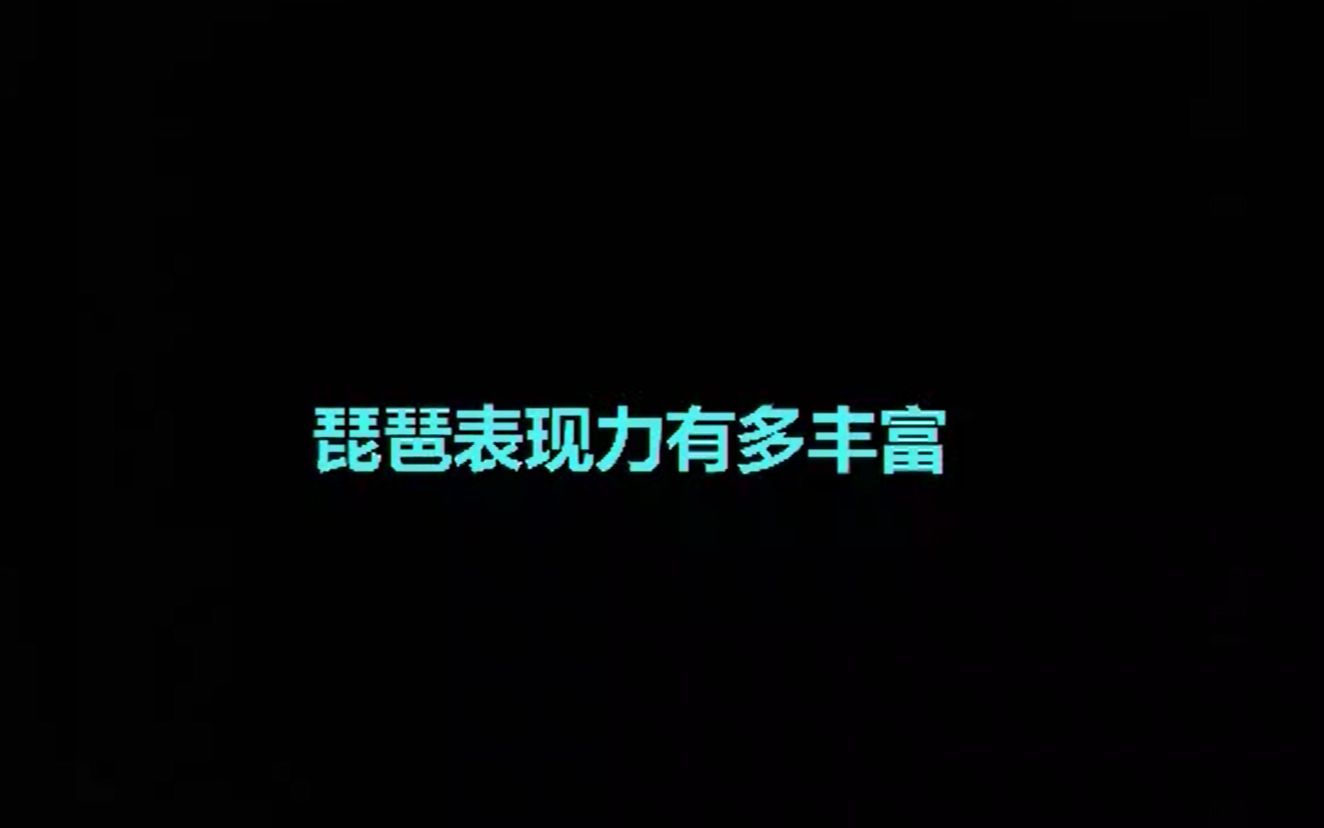 【琵琶】论琵琶的表现力有多丰富(第二弹)哔哩哔哩bilibili