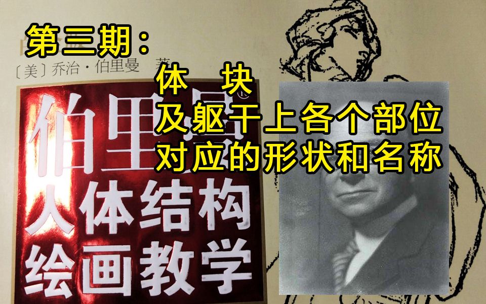 [图]《伯里曼人体结构绘画教学》全本解读，第3期，体块！及躯干上各个部位对应的形状和名称