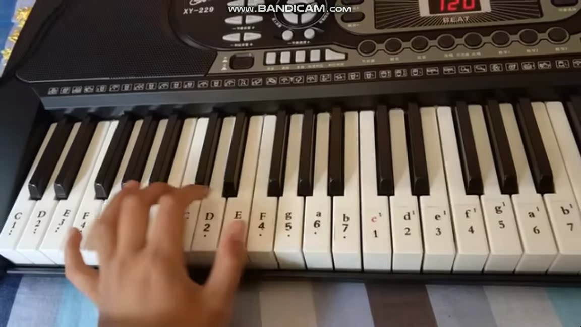 新韵xy-229电子琴演奏《菊次郎色夏天》