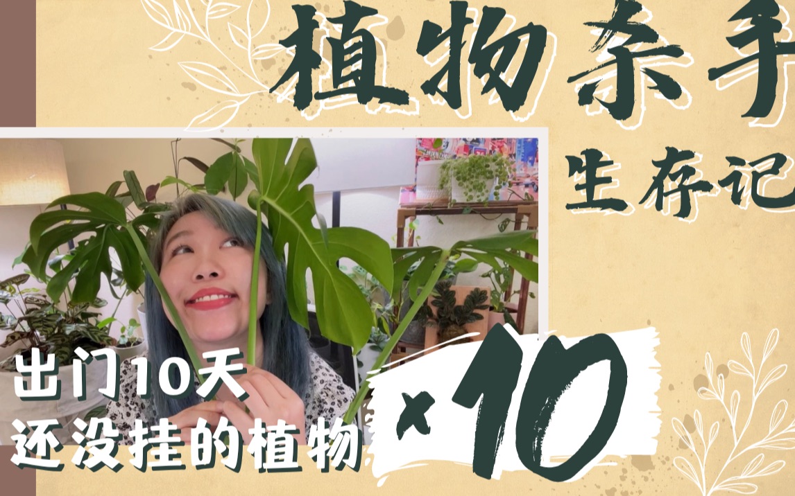 [图]植物杀手生存记丨都说很多室内植物很好养，我出门10天验证了一下！这10种植物真的可以放宽心佛系养护！