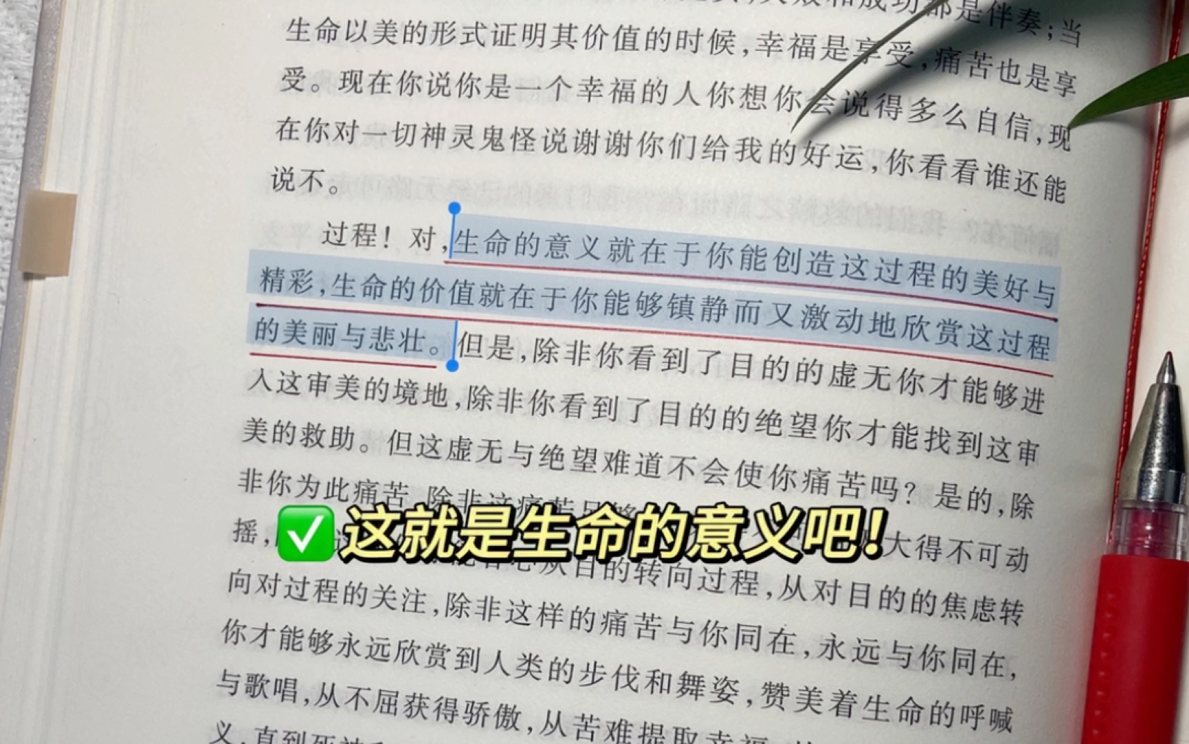 这本书,是射进低谷时期的一束光!书里写了多少次生死,便写了多少次生;书里写了多少次不公,便也写了多少次希望!哔哩哔哩bilibili