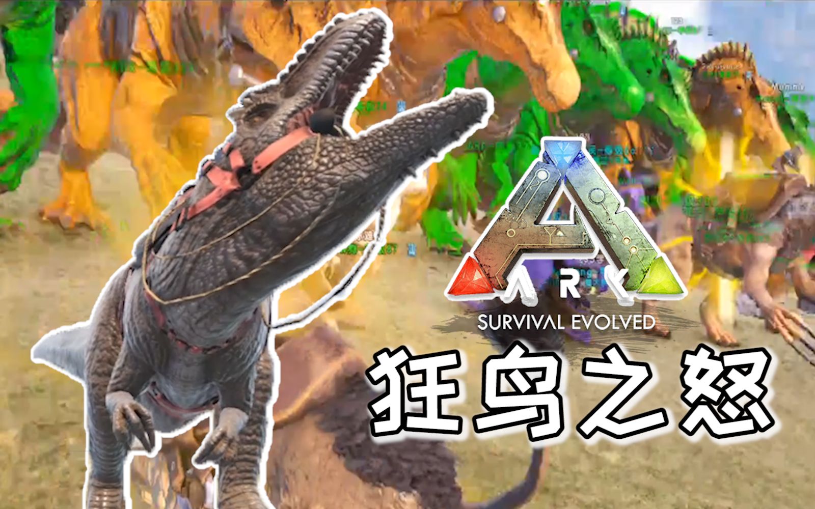 【楚河实况】狂鸟之怒,开始反击!军临城下,问老外:你怕不怕?第二集