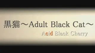 黒猫 Adult Black Cat 搜索结果 哔哩哔哩弹幕视频网 つロ乾杯 Bilibili