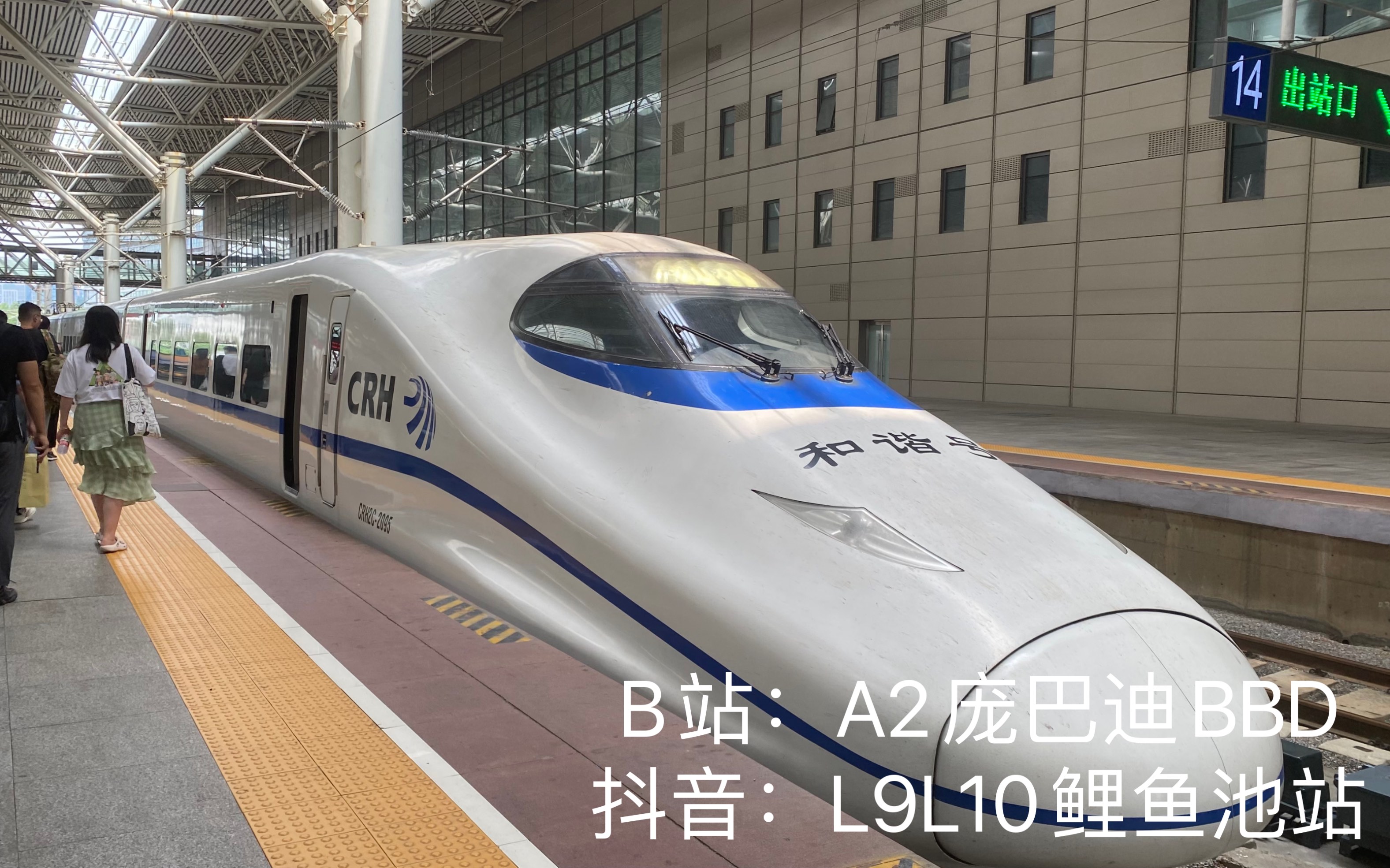 g7111次列車(南京站-上海虹橋站)本務上局滬段crh2c-2095南京站出站