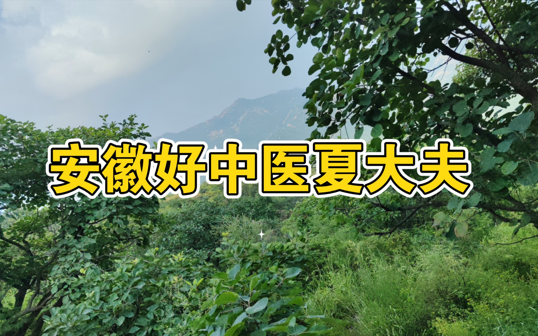 感谢粉丝引推荐安徽好中医夏大夫 欢迎大家留言引荐更多好中医哔哩哔哩bilibili