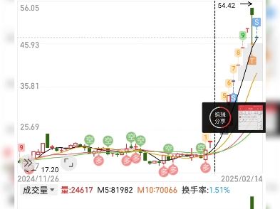 新炬网络哔哩哔哩bilibili