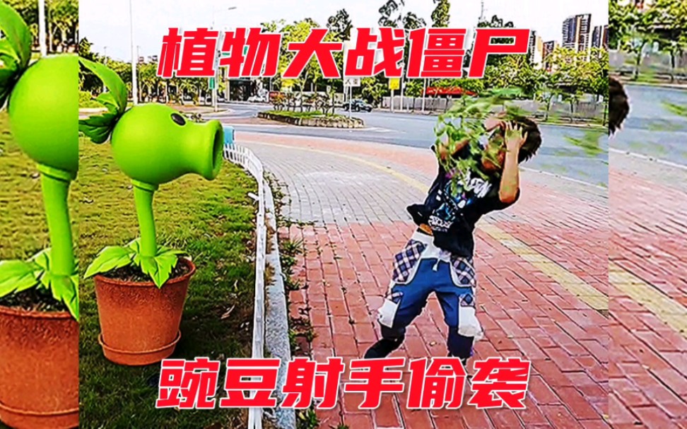 [图]植物大战僵尸，豌豆射手偷袭