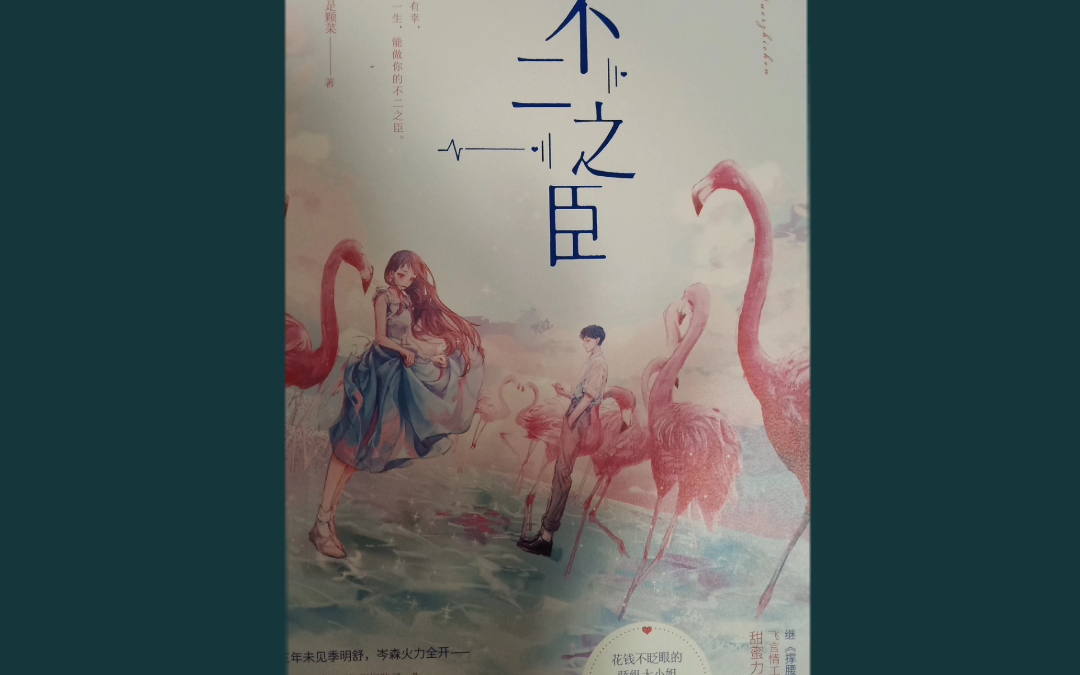 不二之臣模板忘改了