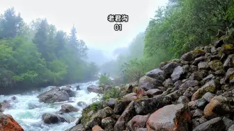 老君沟探秘1，冒雨进入高原峡谷原始森林，里面仿若绿野仙踪