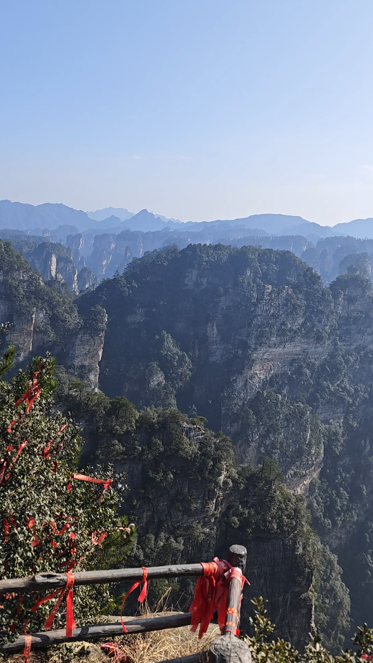 杨家界风景图片图片