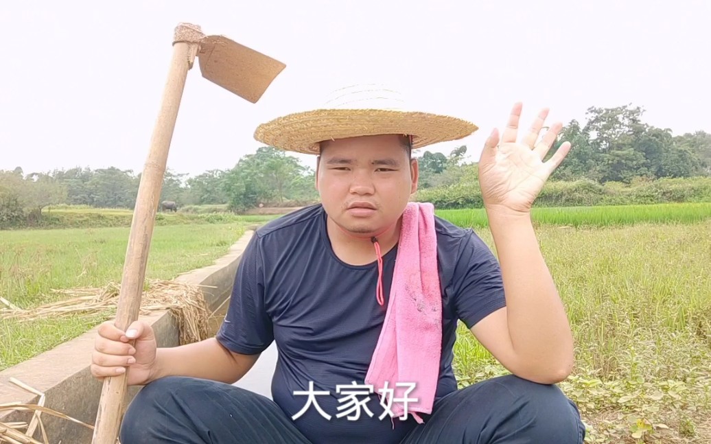 大家好,我是农人二胖_哔哩哔哩_bilibili