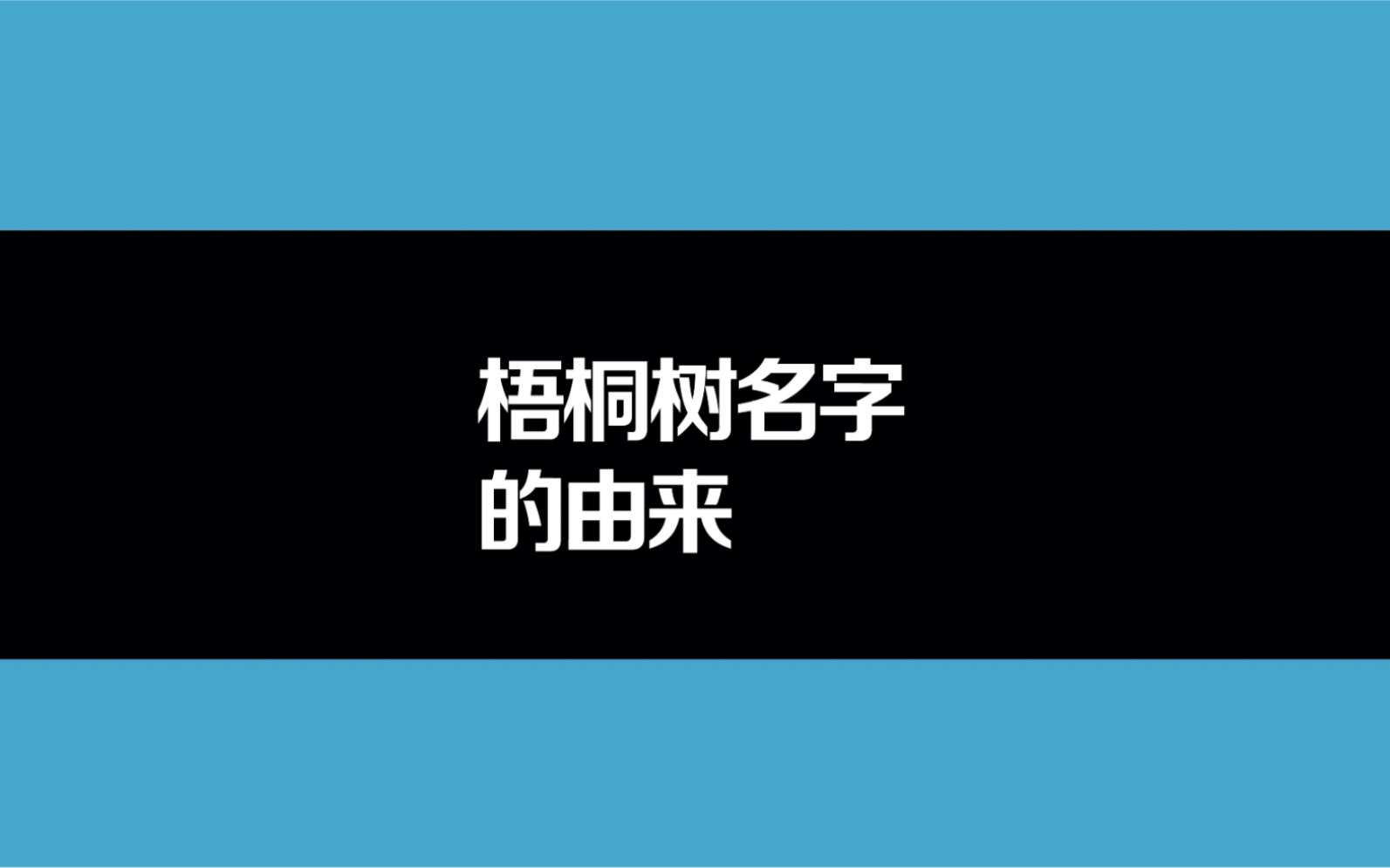 梧桐树名字的由来哔哩哔哩bilibili