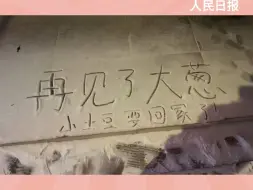 Tải video: 南方撤回一群小土豆