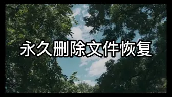 永久删除文件恢复
