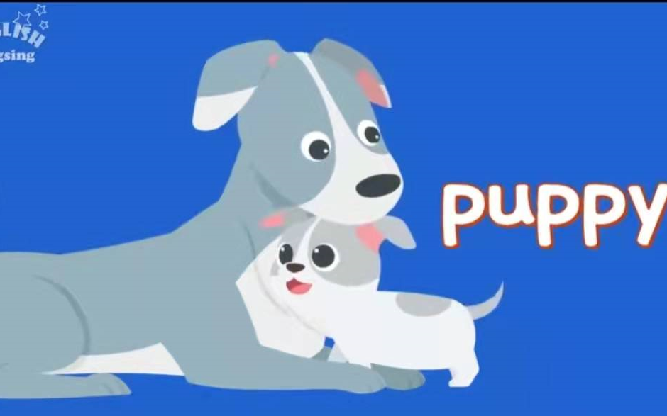 【57集全 看动画学单词】词汇量暴涨1000词_哔哩哔哩_bilibili