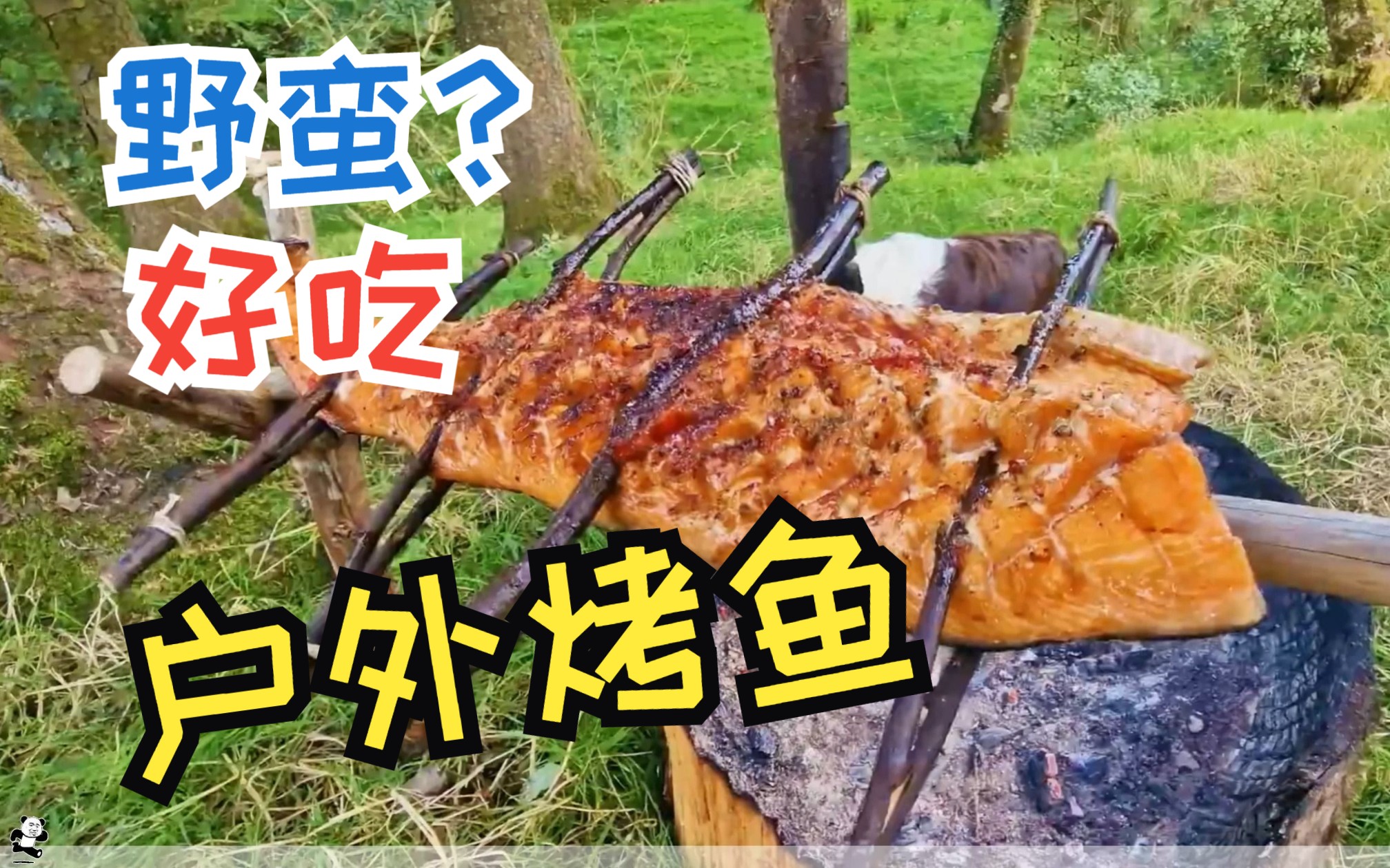 戶外美食之-----烤魚