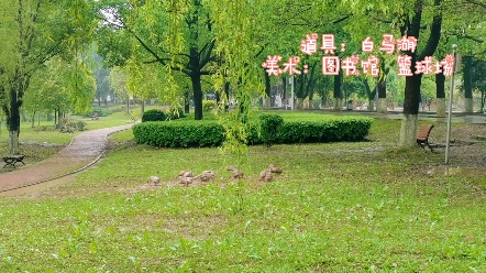 欢迎报考湖南文理学院哔哩哔哩bilibili