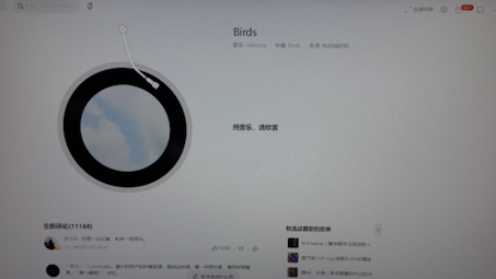 Birdsw㼮sche哔哩哔哩bilibili