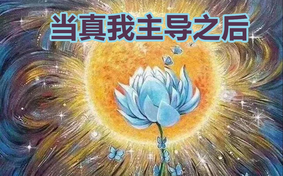 【修行者说】先言冰山一角,再叙山下延绵.当真我居于主导,会发生什么特别的变化哔哩哔哩bilibili