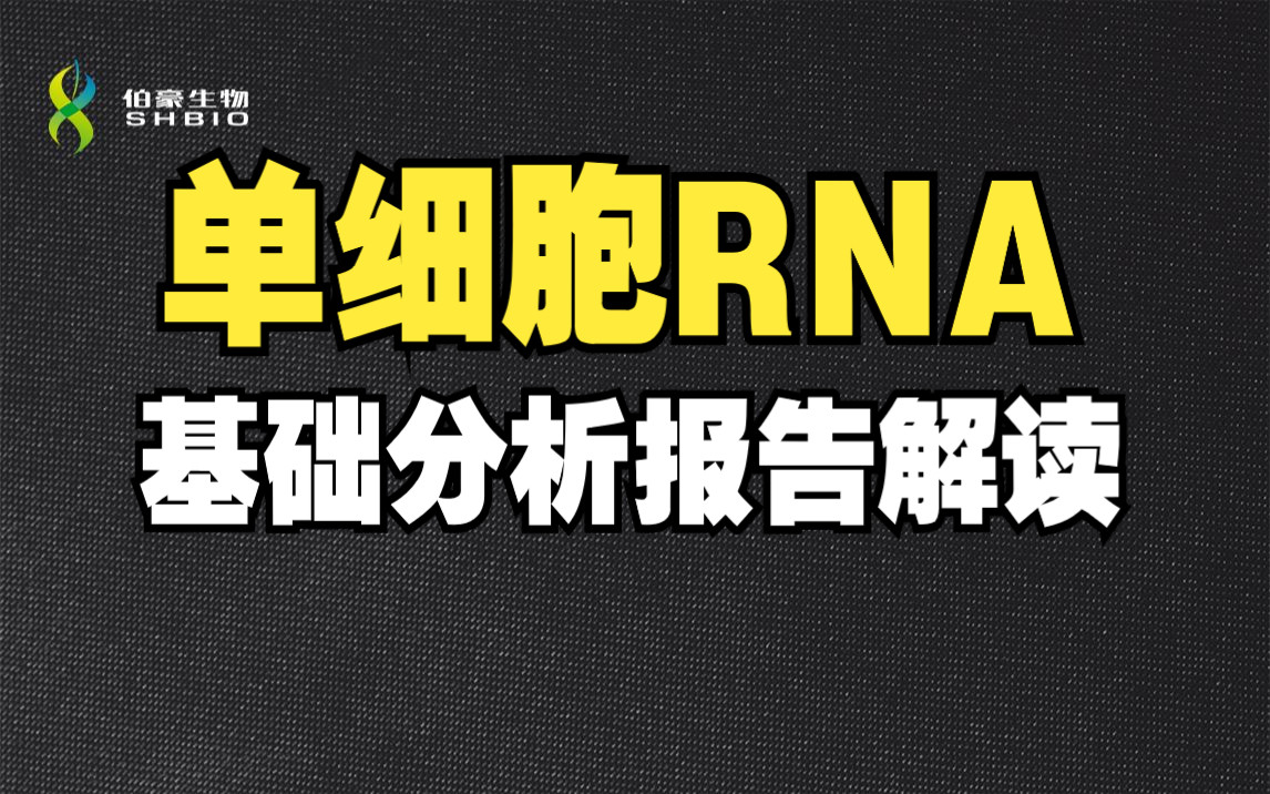 【单细胞专题】单细胞RNA基础分析报告解读哔哩哔哩bilibili