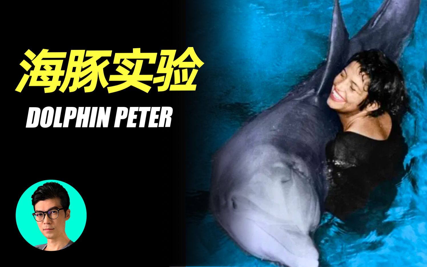 美国nasa进行的绝密海豚实验发生了出乎意料的结果晓涵哥