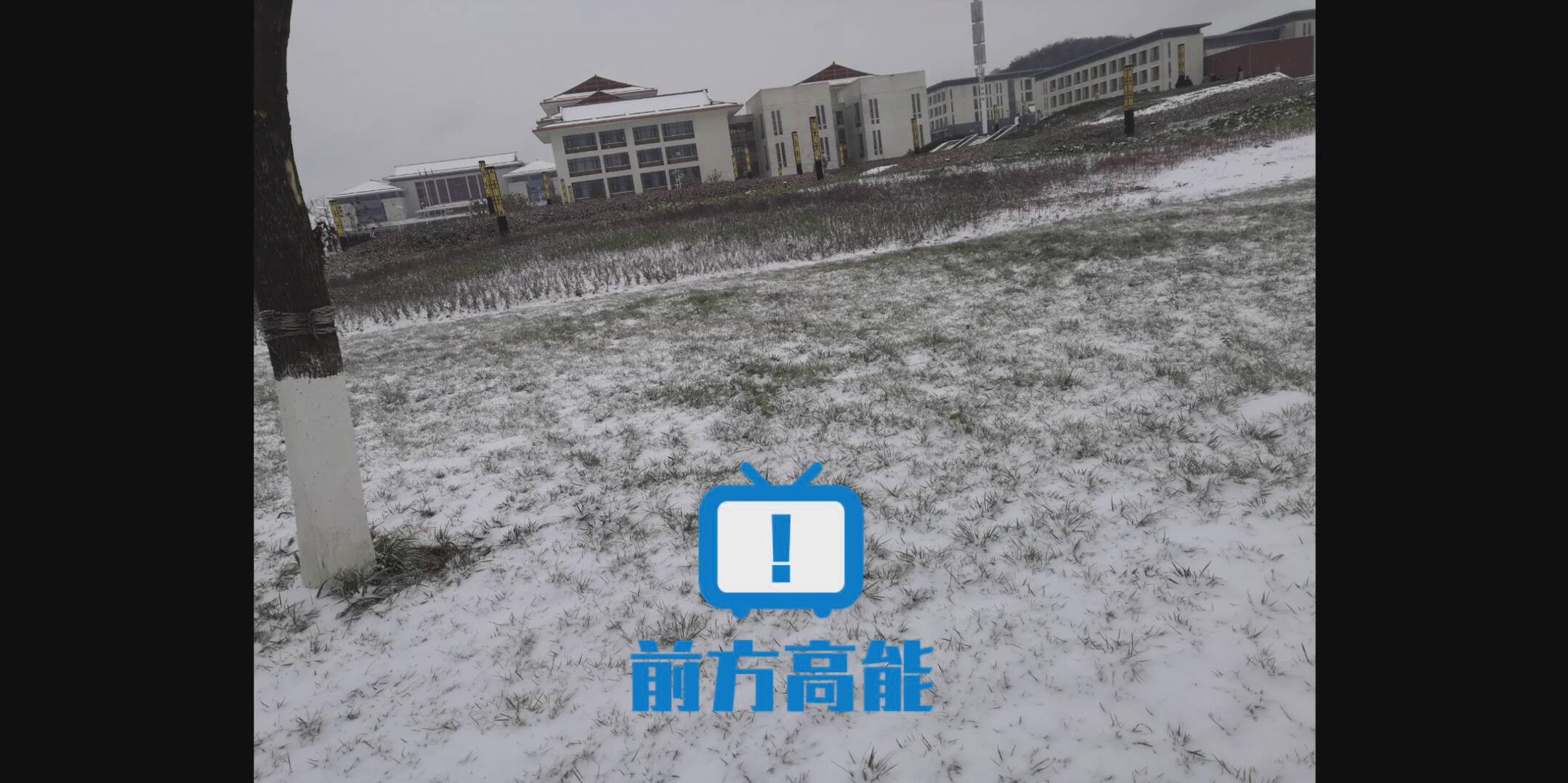 [图]雪中情，雪中行，最美的雪，最美的你