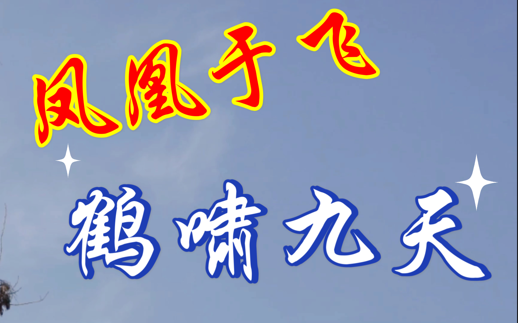 凤凰于飞,鹤啸九天,难道连一只癞蛤蟆都不如嘛?