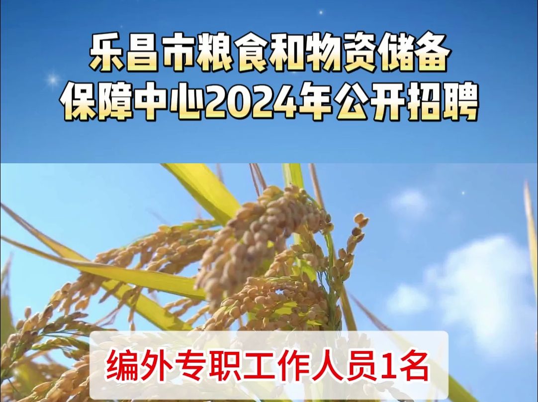 乐昌市粮食和物资储备保障中心2024年公开招聘哔哩哔哩bilibili