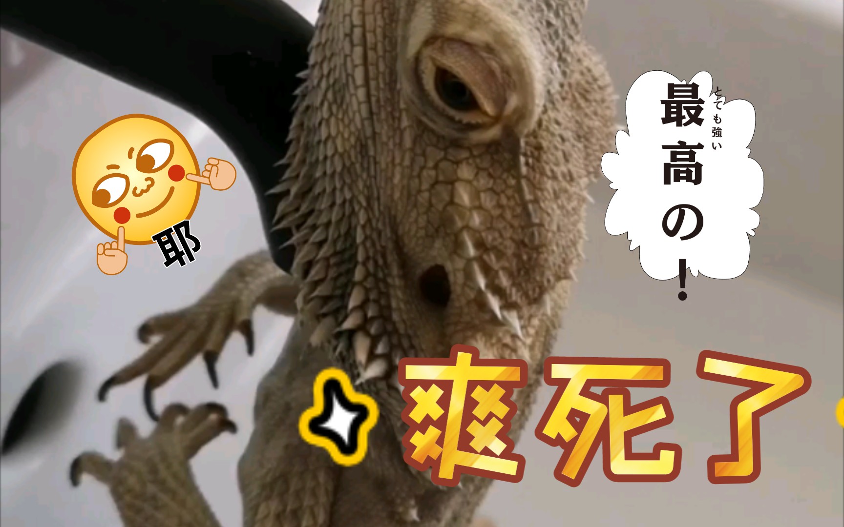 幼年哥斯拉洗澡视频流出