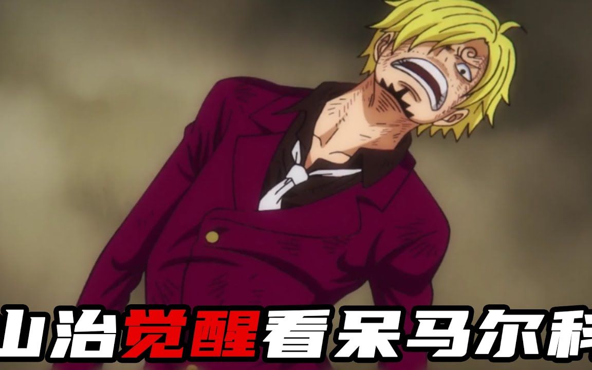 【海贼王和之国】山治觉醒真实能力,看呆马尔科!霍金斯被基拉斩杀