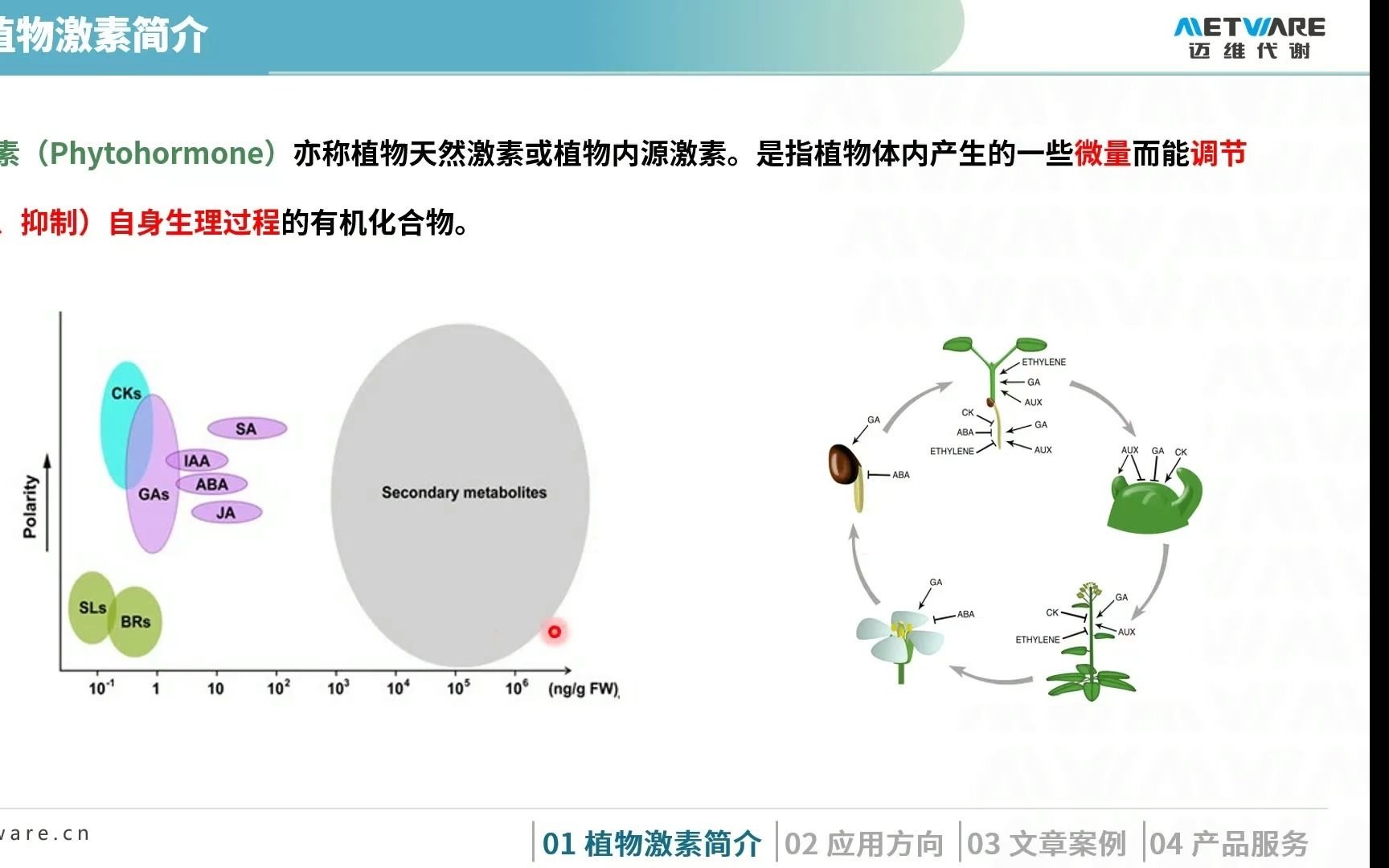 【迈维课堂】植物激素研究与应用——迈维代谢哔哩哔哩bilibili