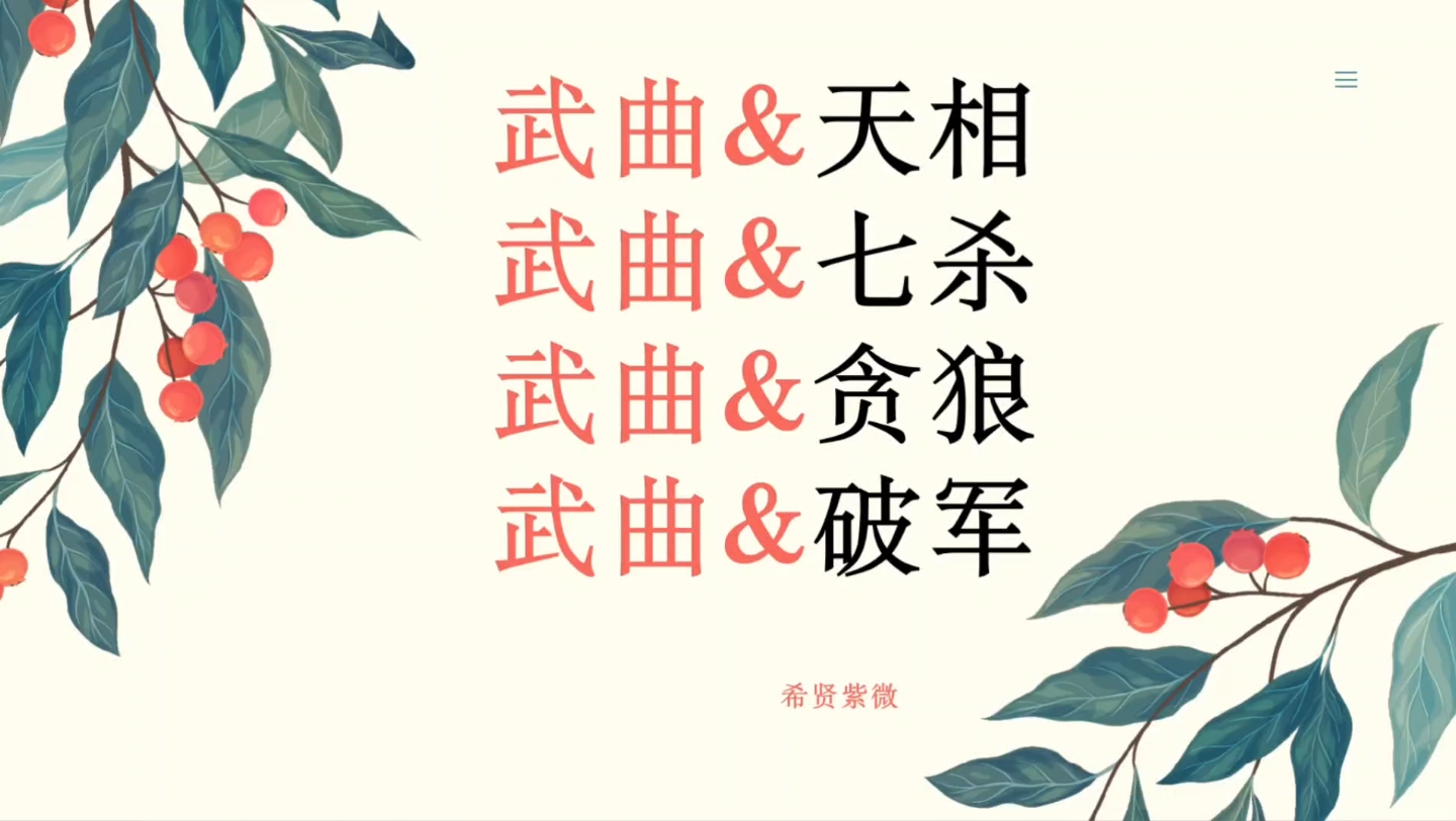 第24课:武曲天相/武曲七杀/武曲贪狼/武曲破军哔哩哔哩bilibili