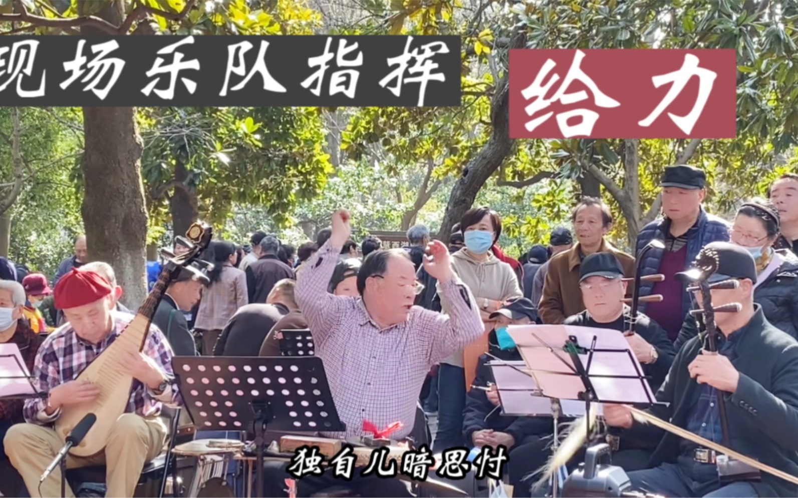 [图]被现场乐队的气氛所感动越剧《秋海棠.心心相印》我真好比梦中人