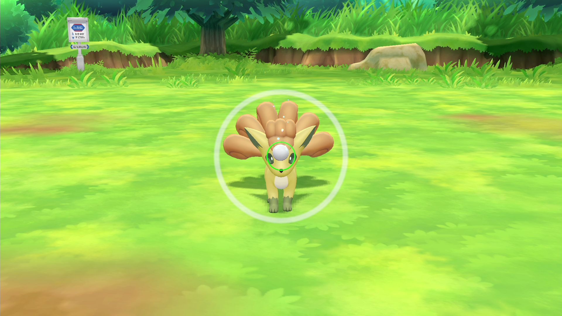 精灵宝可梦 lets go 刷到了闪光六尾_哔哩哔哩 (゜-゜)つロ 干杯