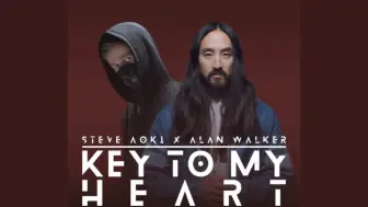 Download Video: Alan Walker & Steve Aoki - Key To My Heart (Are You Lonely Demo)