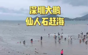 Tải video: 第19集｜深圳大鹏仙人石赶海（免费）