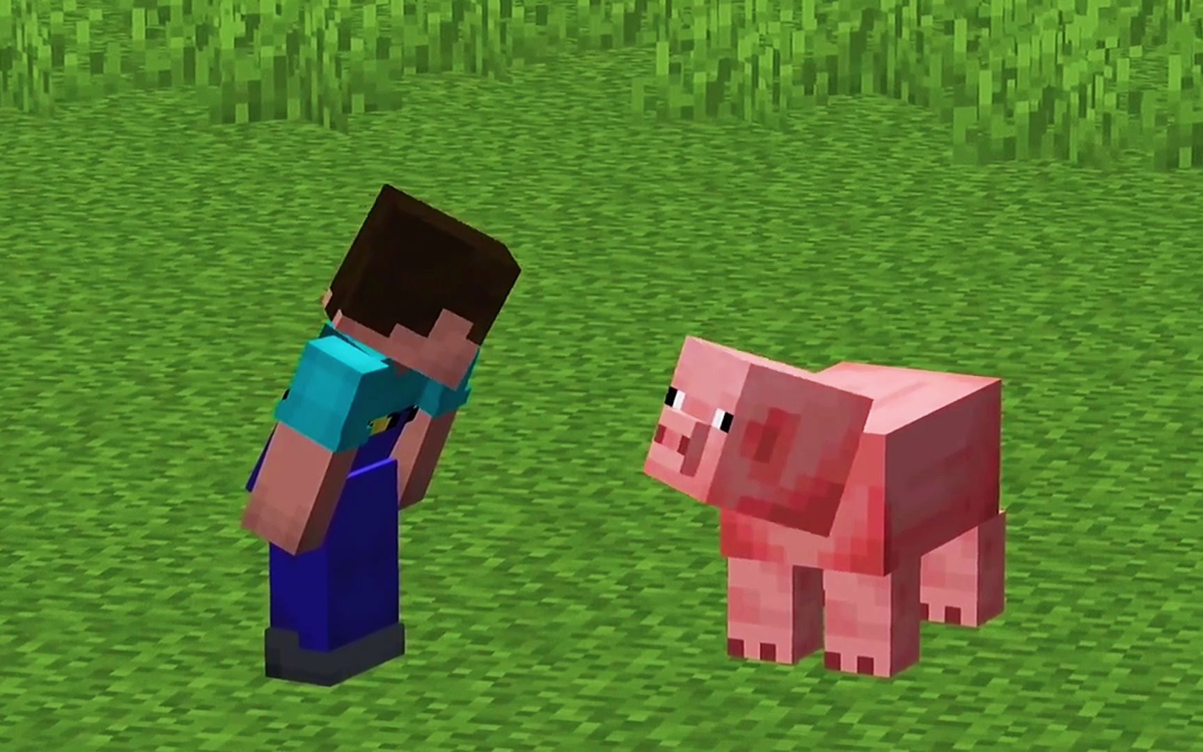 活动  我的世界:如何制作一只猪