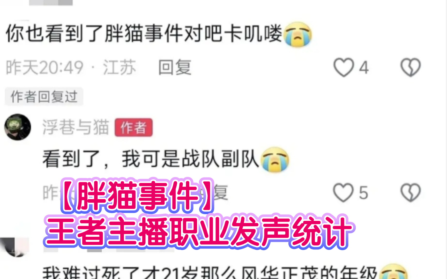 【胖猫事件】为他发声的王者主播不完全统计(有职业