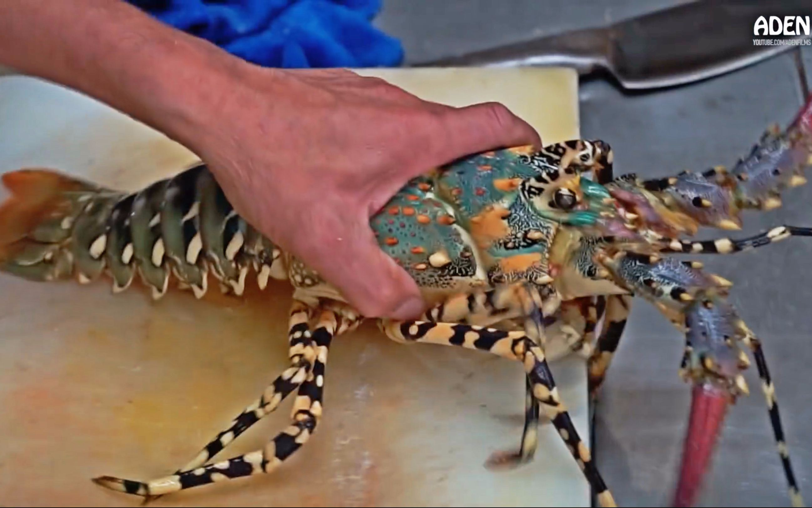 鲜活彩虹龙虾刺身豉汁蒸虾烧烤海螺台湾街头美食海鲜盛宴