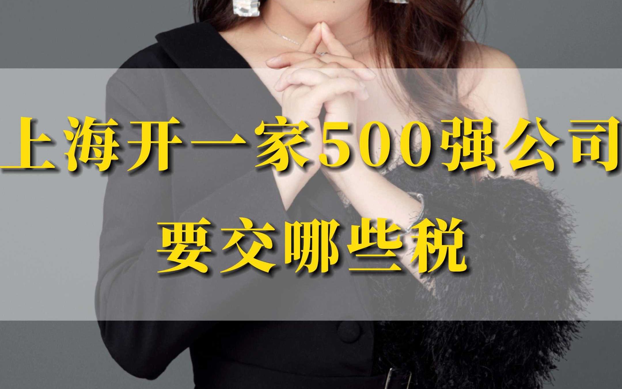 上海开一家500强公司,要交哪些税哔哩哔哩bilibili