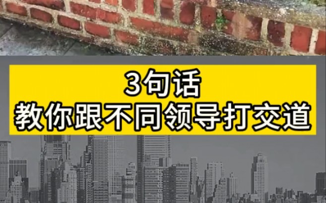 【职场相处】和不同类型的领导打交道,你是怎么做的?哔哩哔哩bilibili