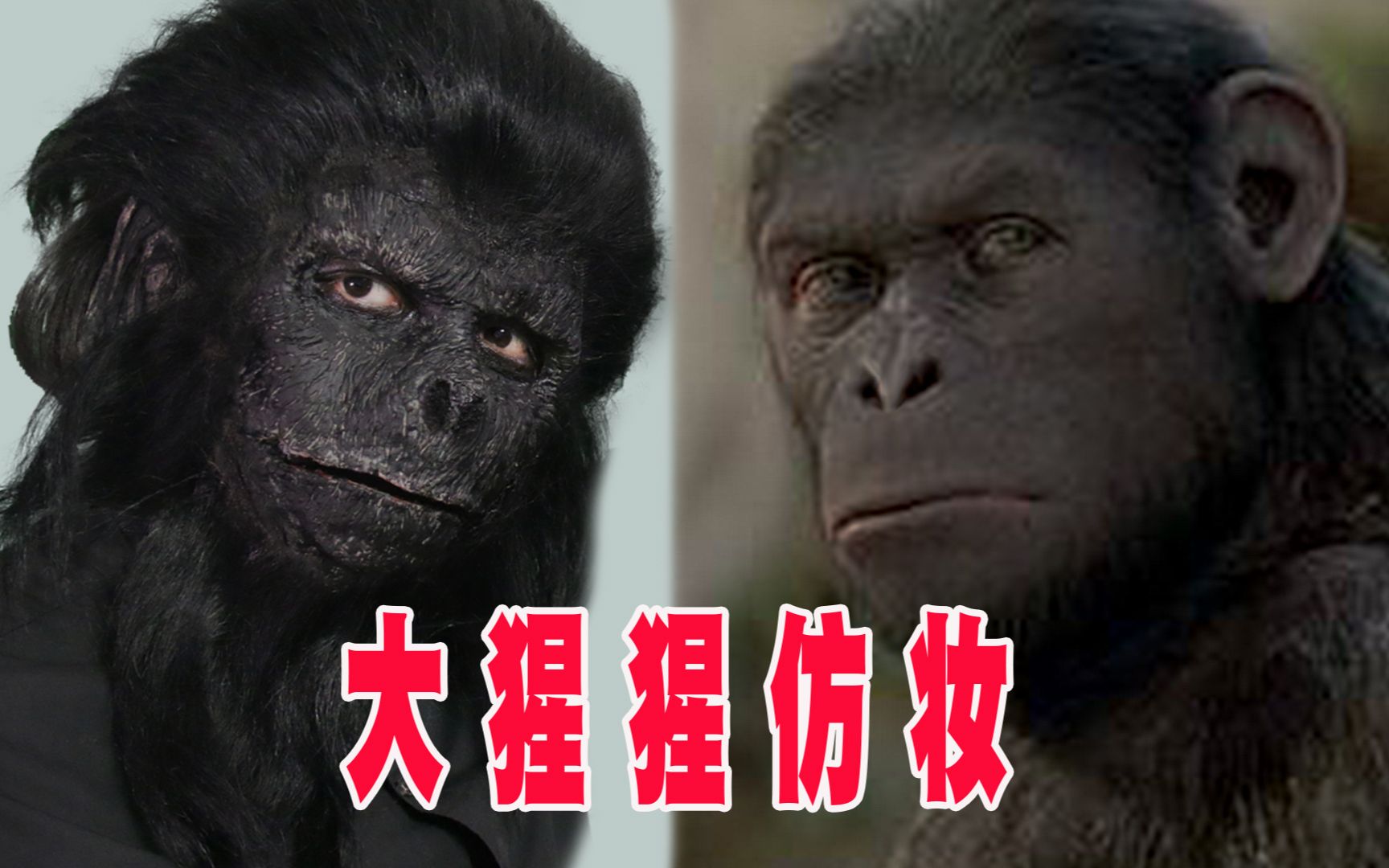 【大猩猩仿妆】面粉纸巾的另类玩法,这妆够硬核吗