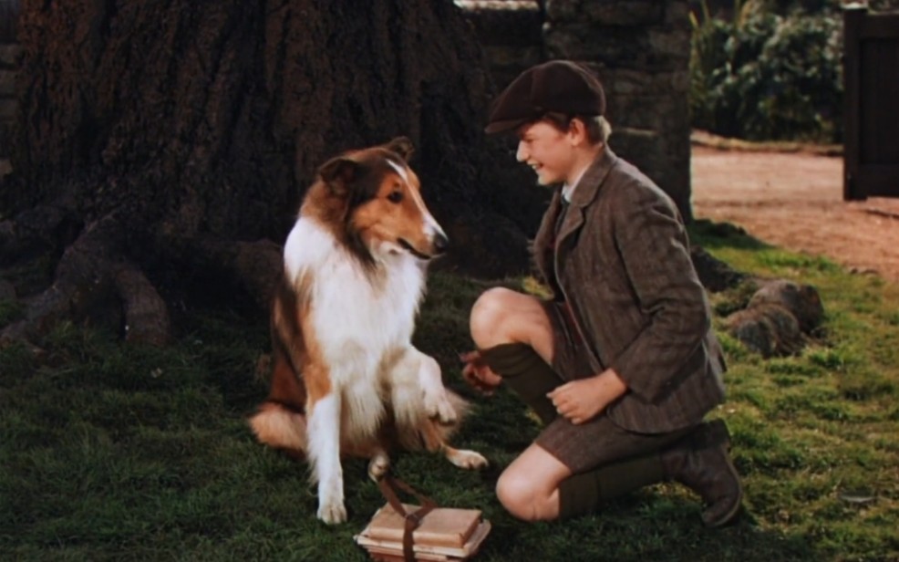 756066t64影视片段欣赏灵犬莱西lassiecomehome1943