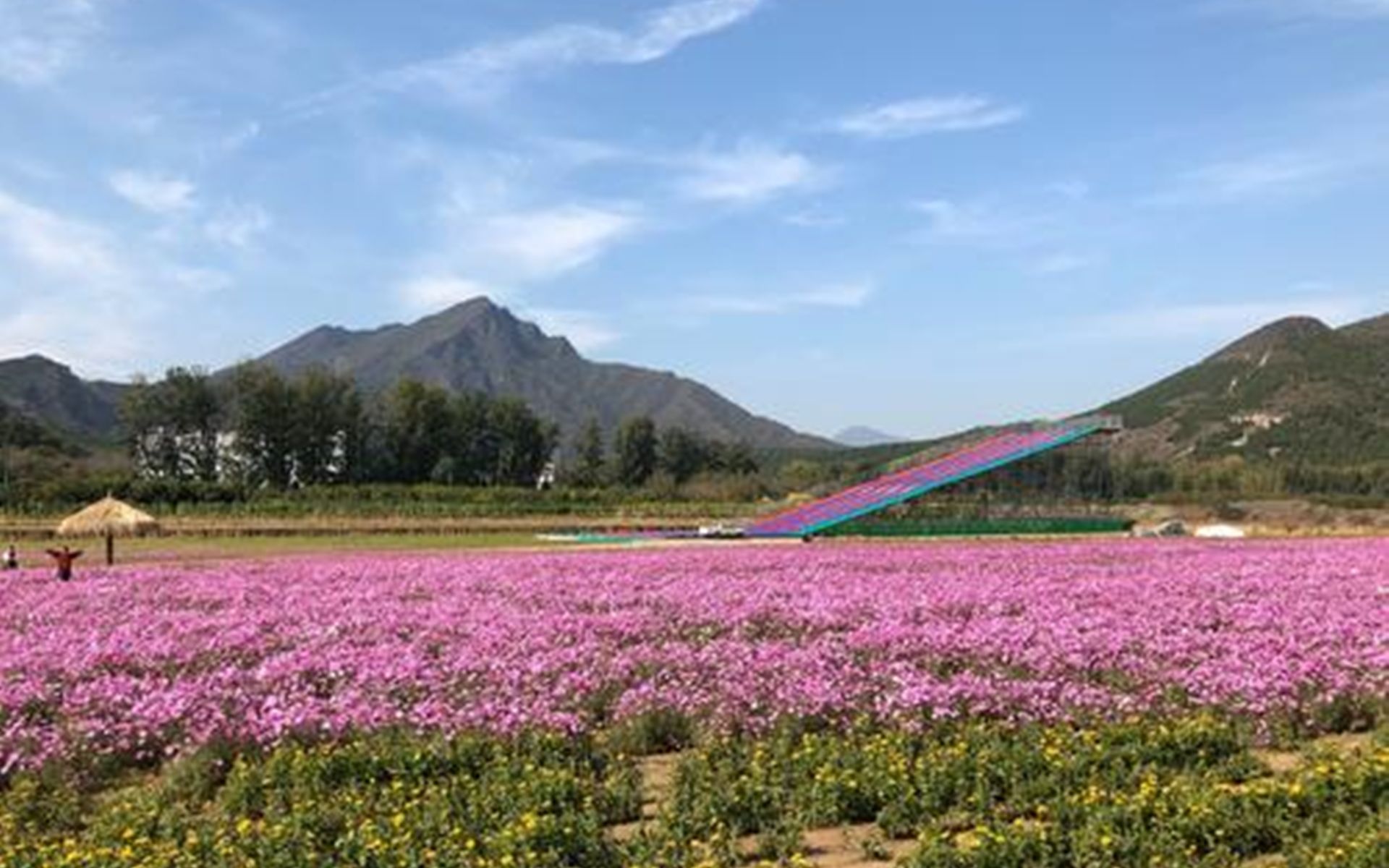 【360Ⱕ…覙﨧†频】北京圣泉山VR哔哩哔哩bilibili