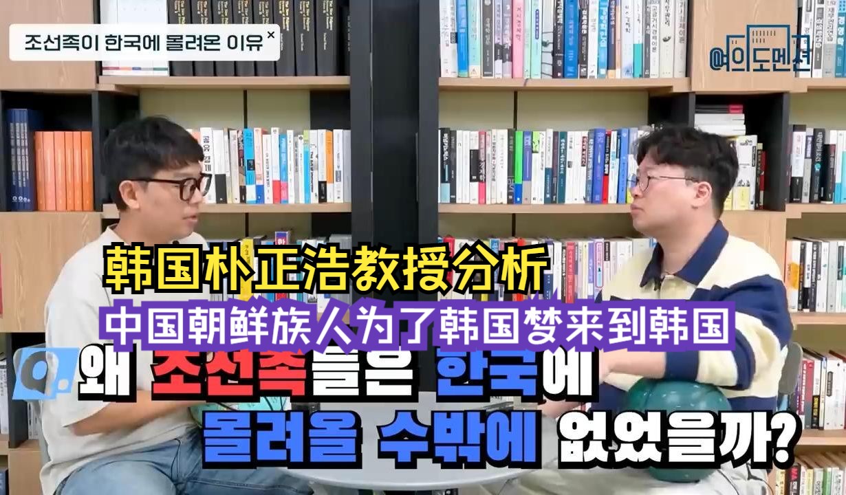 韩国朴正浩教授分析:中国朝鲜族人为了韩国梦来到韩国哔哩哔哩bilibili