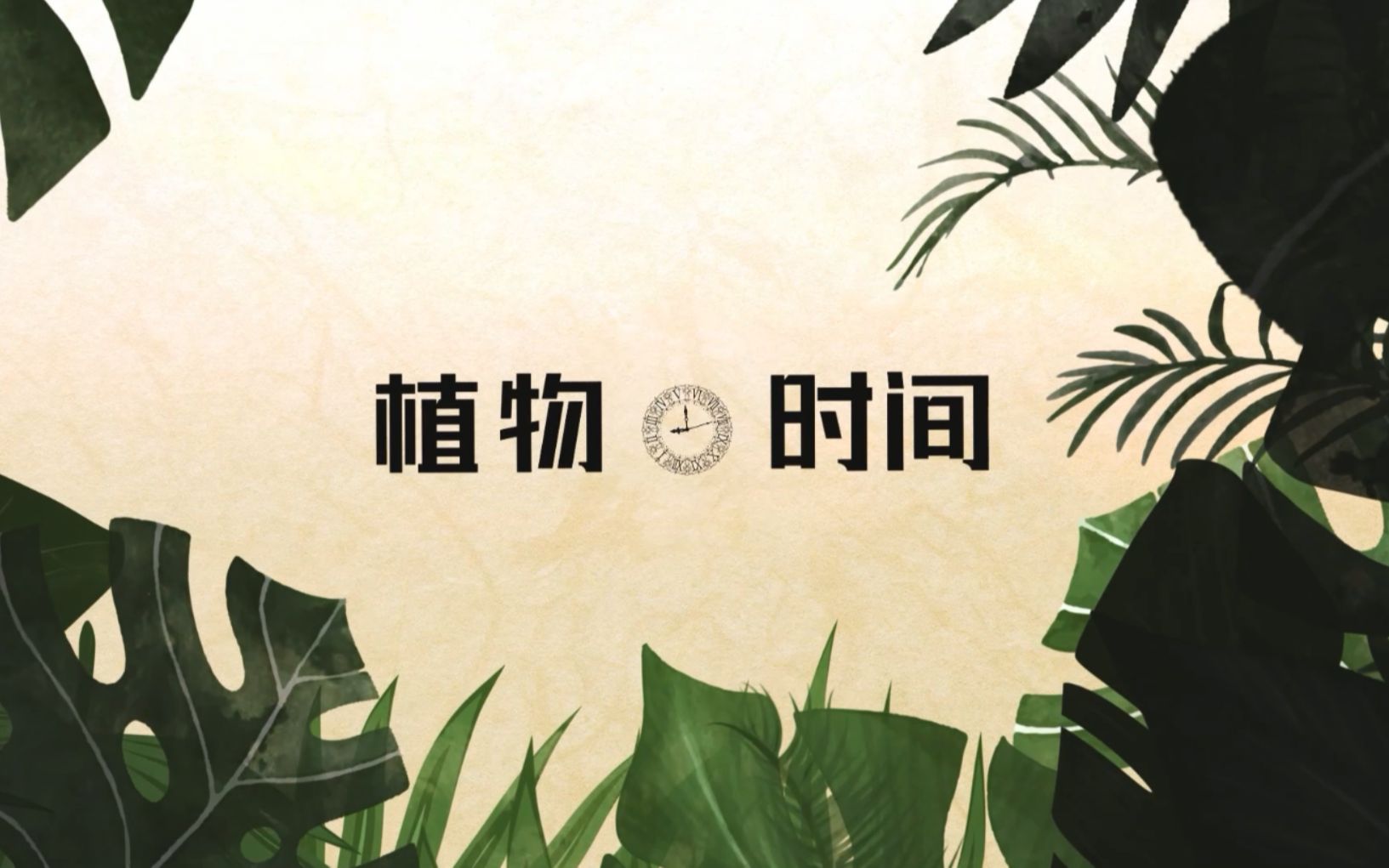 植物时间——种子:豆芽是根吗?哔哩哔哩bilibili