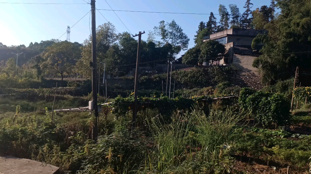 长石村拍车及风景