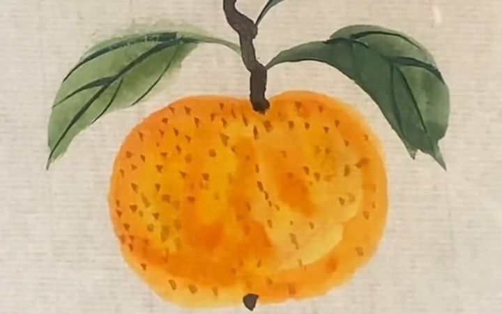 【国画】国画橘子教程