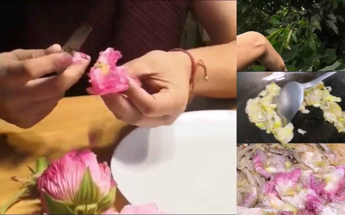 [图]芙蓉花开，融自然美色于一盘