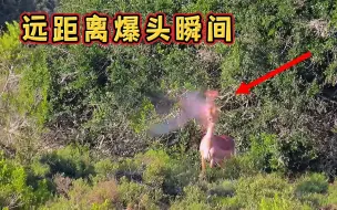 Download Video: 爆头就在一瞬间！狩猎爆头的精彩瞬间